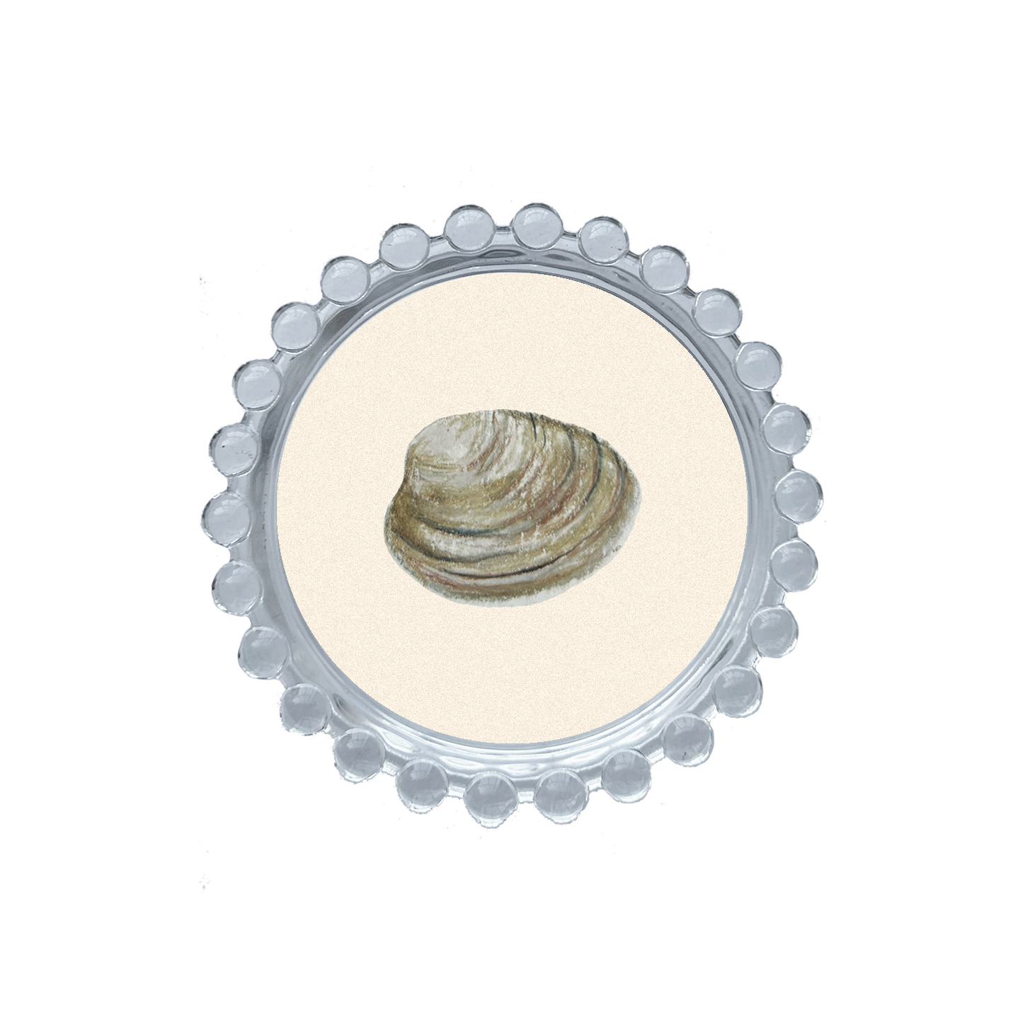 Clam Trinket Dish