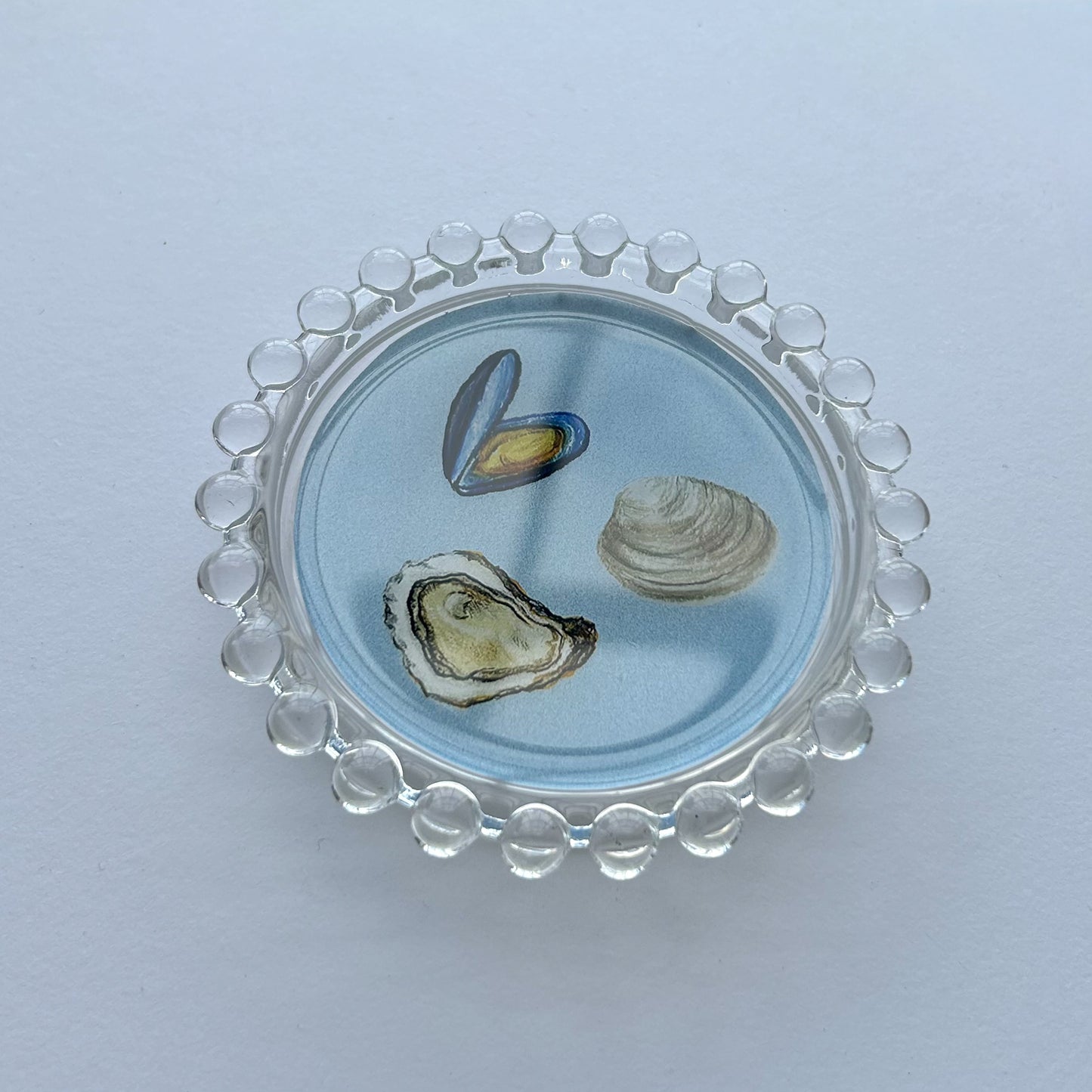 Shellfish Trinket Dish