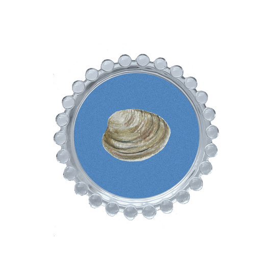 Clam Trinket Dish