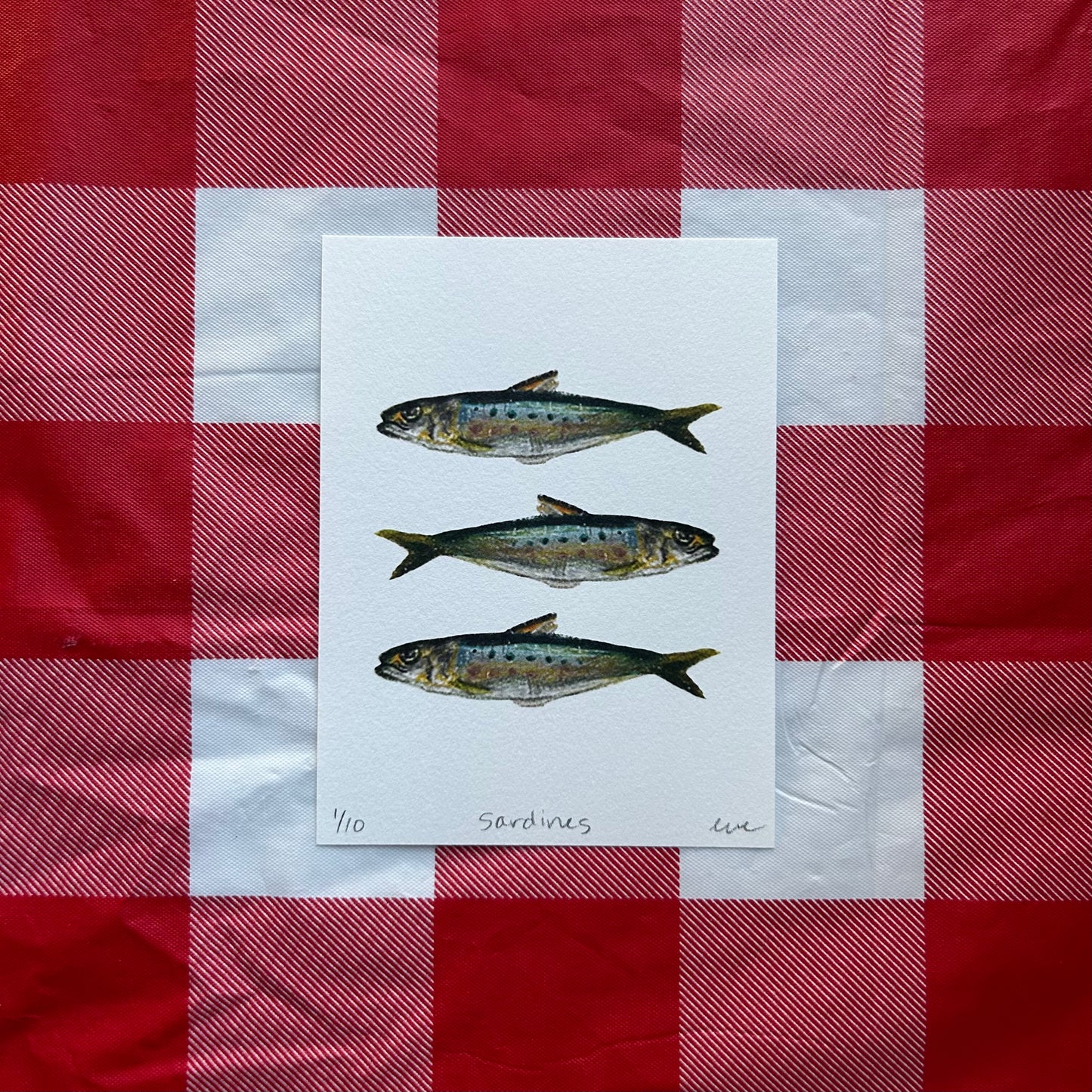 Sardines Print